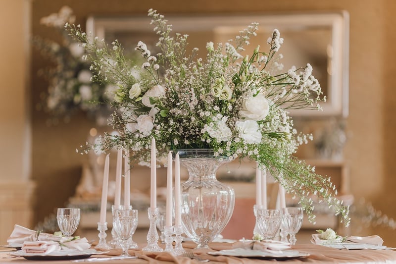 Starry Decor